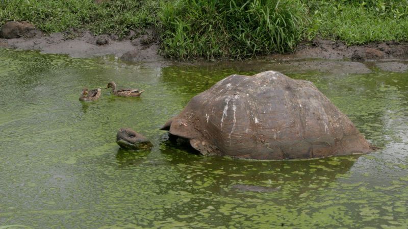 190930galapagos3