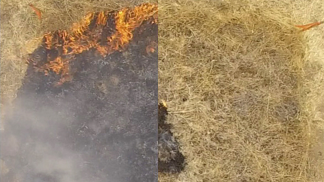 山火事にスタンフォード大学発の新対策。事前にスプレーで火事発生を抑える