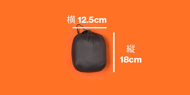 39_Visual