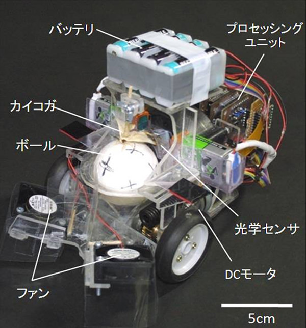 昆虫にロボットを操縦させたら、AIにもマネできないすごい能力が判明