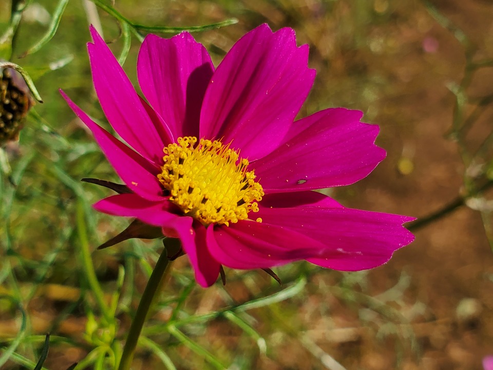 191106galaxynote10-09
