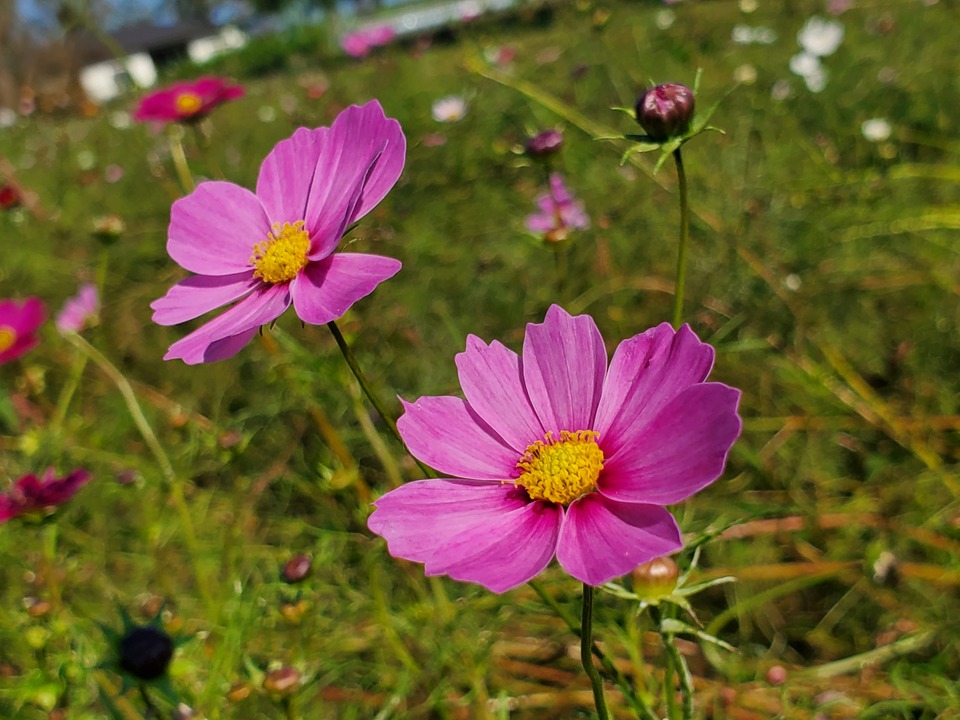 191106galaxynote10-10