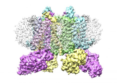 191118photosynthesis2