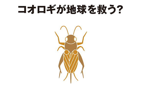 無印、昆虫食始めます。2020年春に「コオロギせんべい」を発売予定