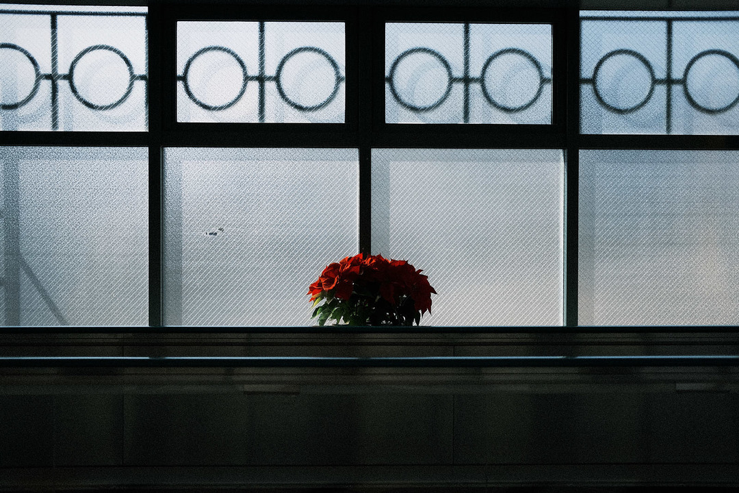 191127_X-Pro3_0633_w1600