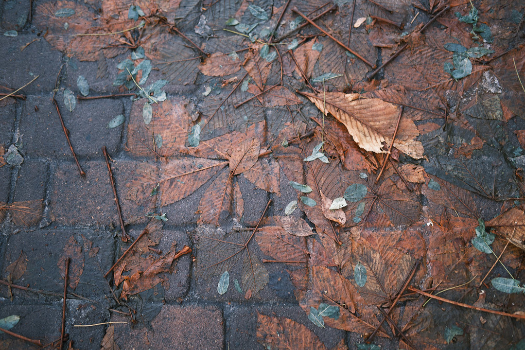 191127_X-Pro3_10361_w1600