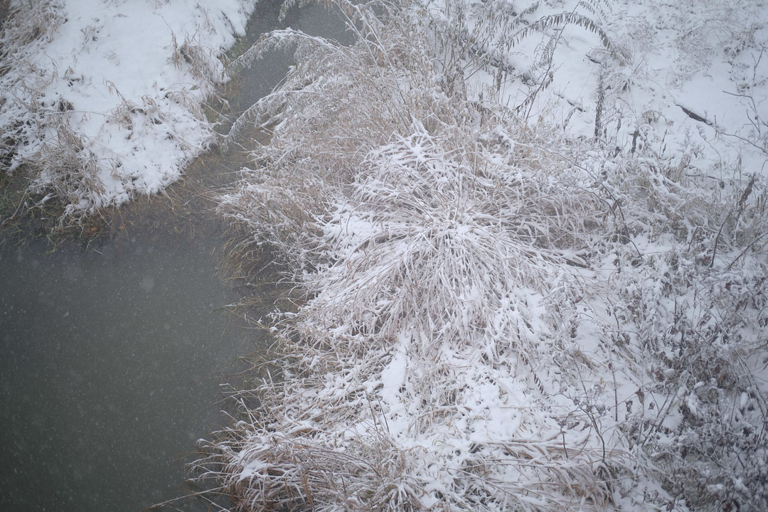 191127_X-Pro3_1201_w1600