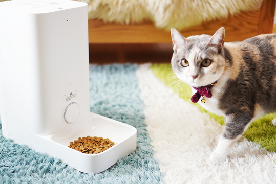 ペットのお世話も遠隔操作の時代!? 自動給餌器｢FRESH ELEMENT ミニ｣を愛しの猫ちゃんと使ってみた