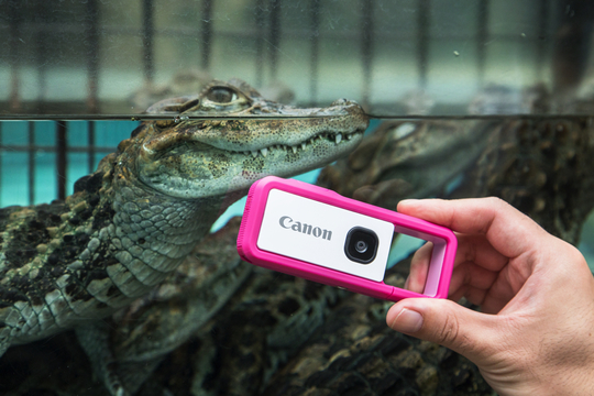 1日1000枚余裕でした。キヤノン「iNSPiC REC」は良い写真を撮らなければいけない呪縛から解放されるカメラ