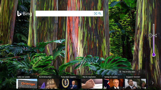 Bing、まだ使ってる? 不正確で危険な検索結果が多いとの指摘も…