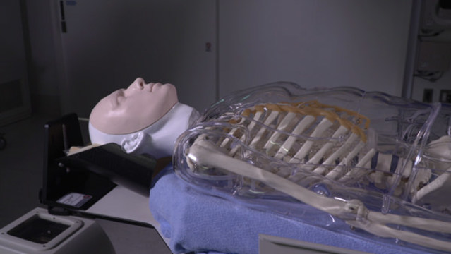 わたし、人や動物の犠牲になります…。｢精巧な偽物｣こと、バイオニックヒューマノイドって何だ