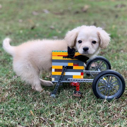 200215_legowheelchair