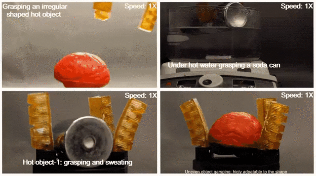 200218_autonomic_perspiration_in_3d_printed_hydrogel_actuators_2