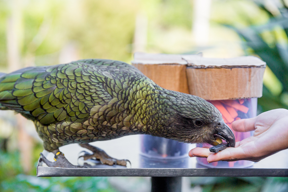 200310KEA2