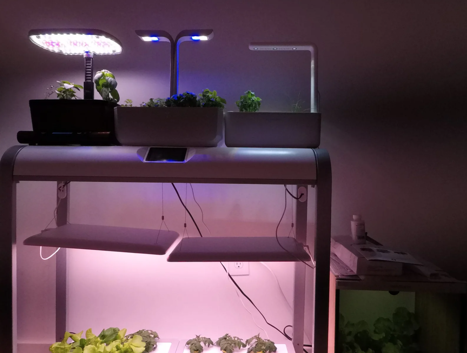 200423IndoorFarm11