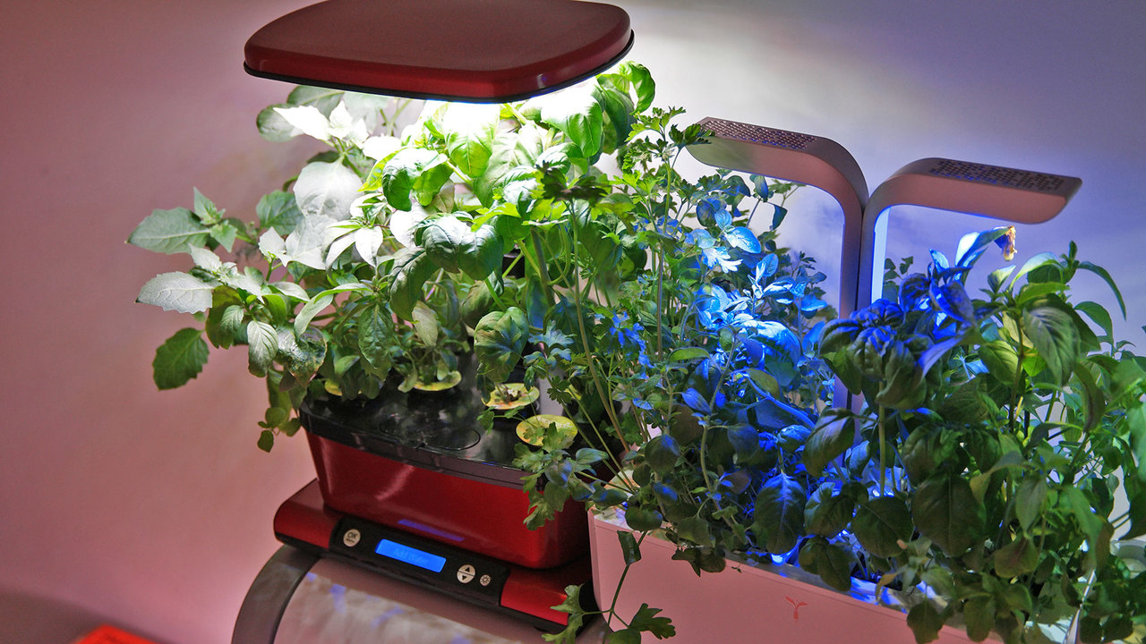 200423IndoorFarm12
