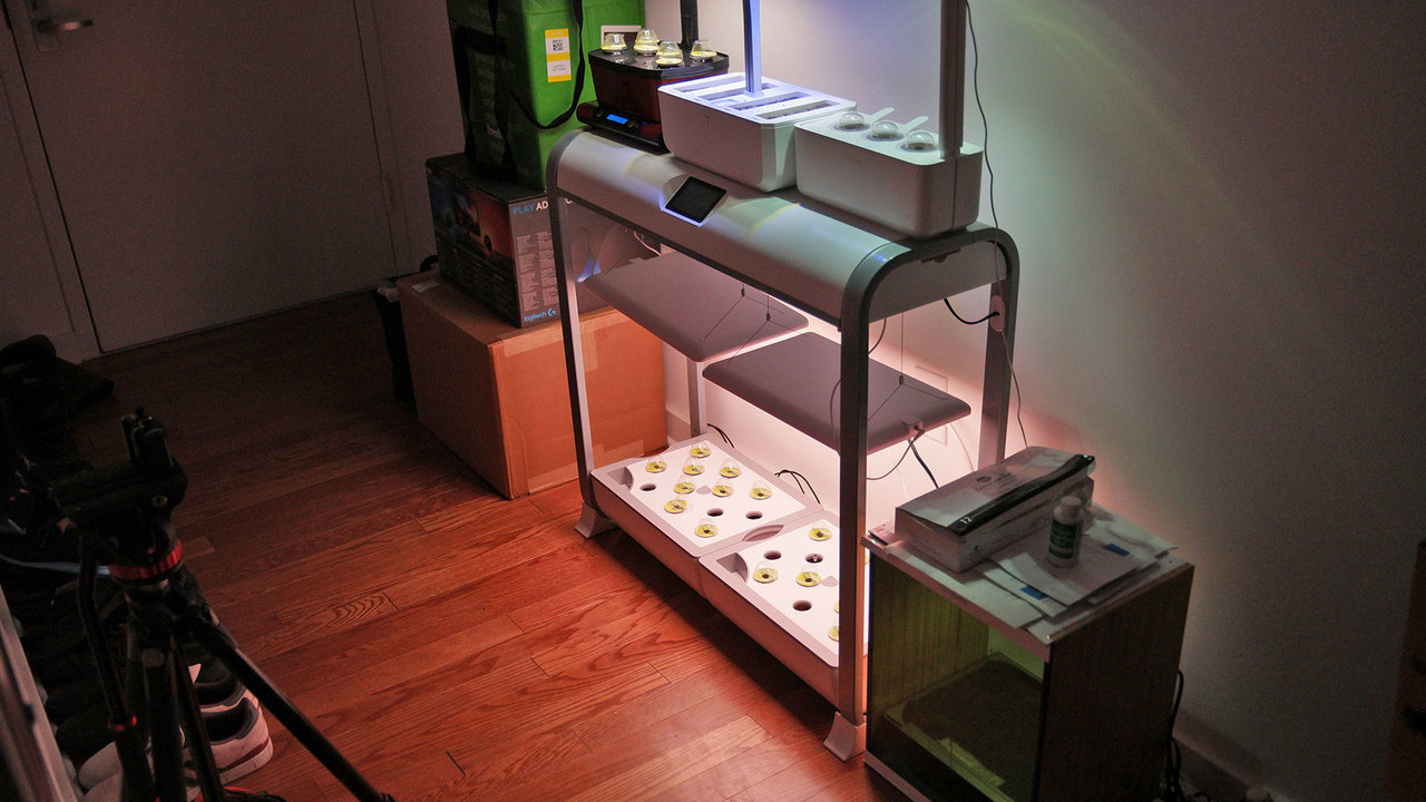 200423IndoorFarm2