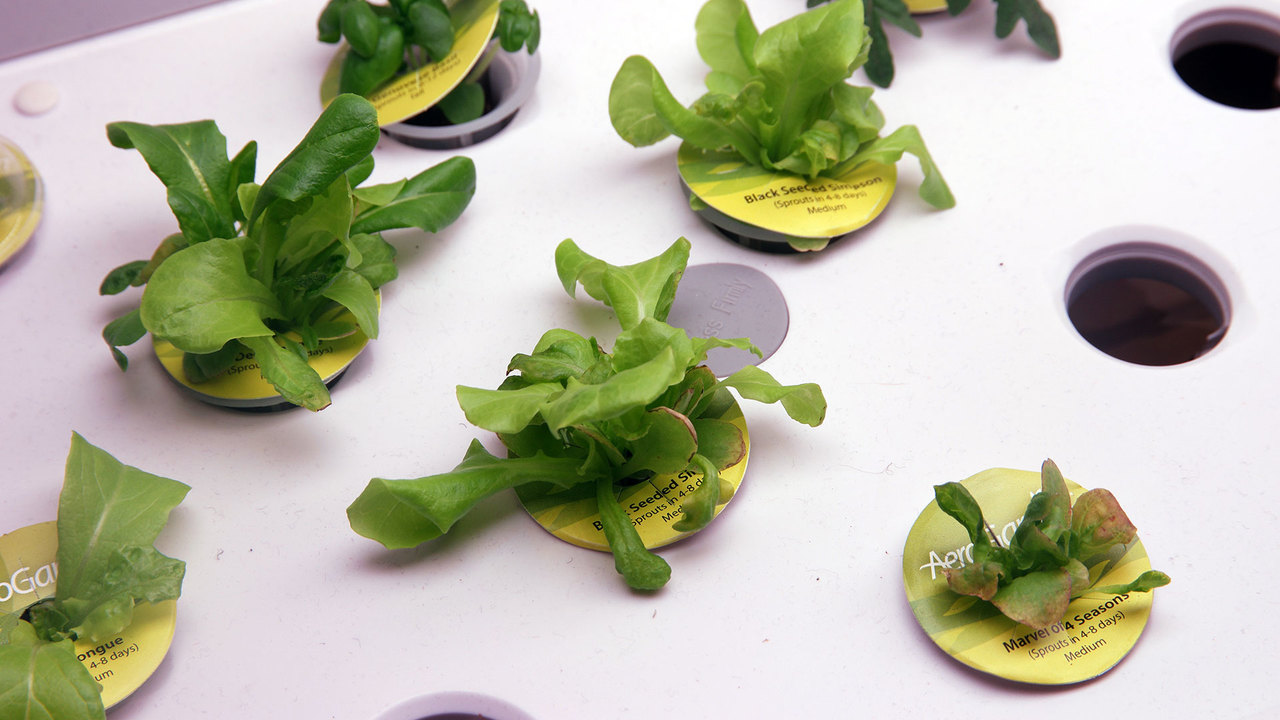 200423IndoorFarm4