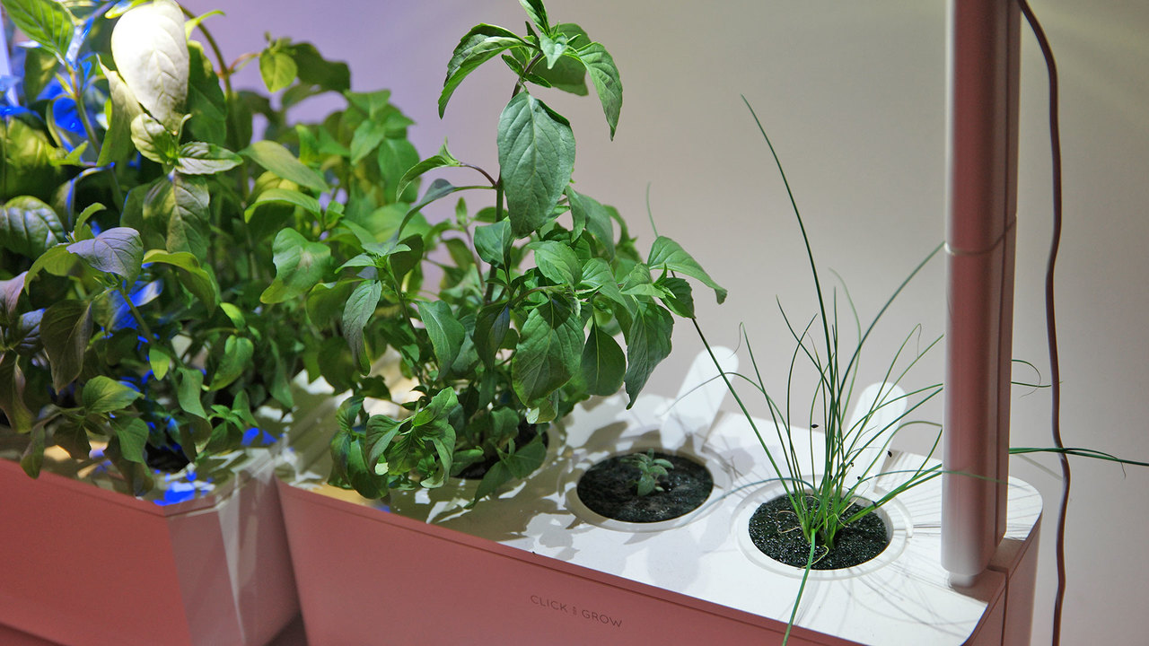 200423IndoorFarm5