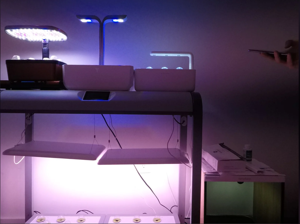 200423IndoorFarm7