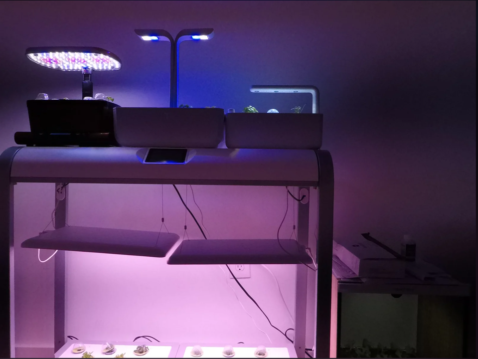 200423IndoorFarm9
