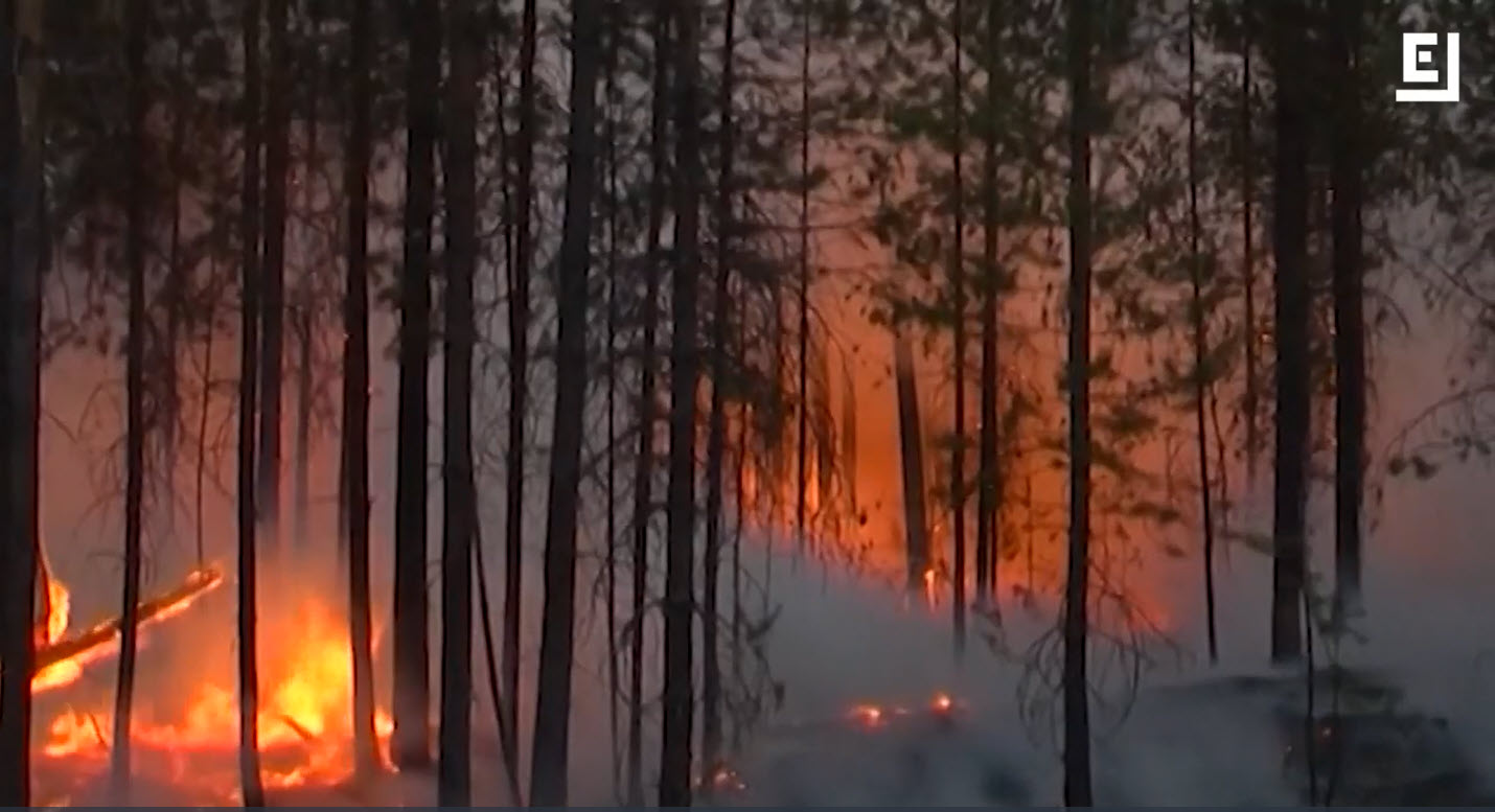 シベリアの山火事は宮城と福島を合わせた土地を燃やし尽くした 新型コロナと温暖化が追いうち ギズモード ジャパン