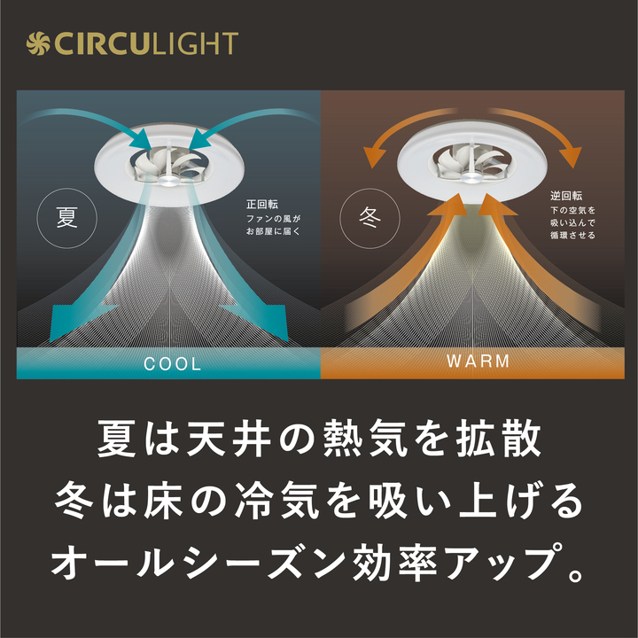200615_circhlight2