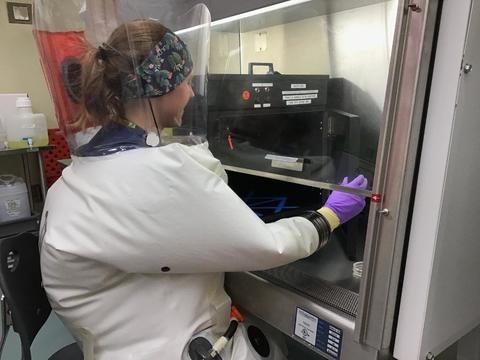 新型コロナウイルスが数秒で不活化。紫外線の有効性が報告される