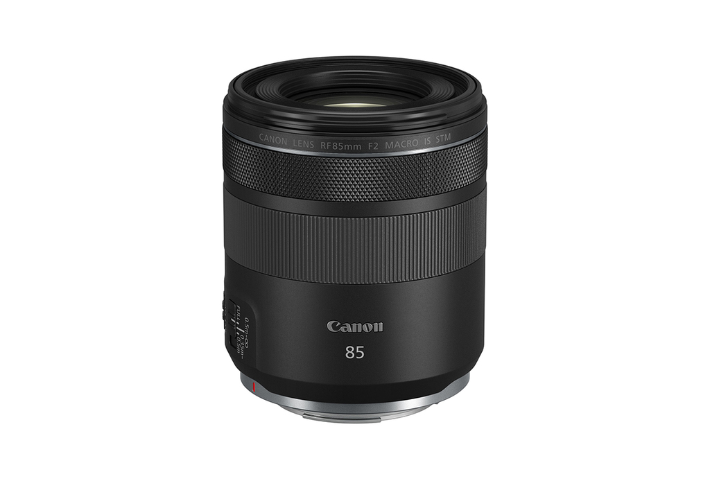 20200709gizmodo_eosr5-r6_85_Slant