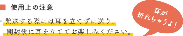 ヤマト運輸の猫ダンボールが可愛すぎて荷物送れなさそう ギズモード ジャパン