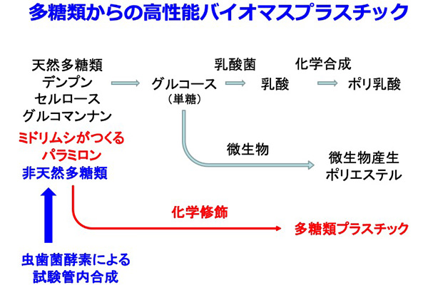 有料化なんて目じゃない。ゴミにならずCO2も出ない、次世代プラスチック