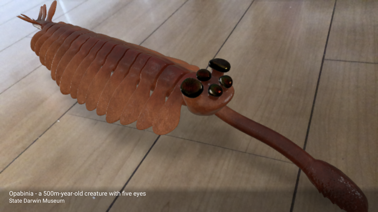 200827_GoogleAR_6.jpg