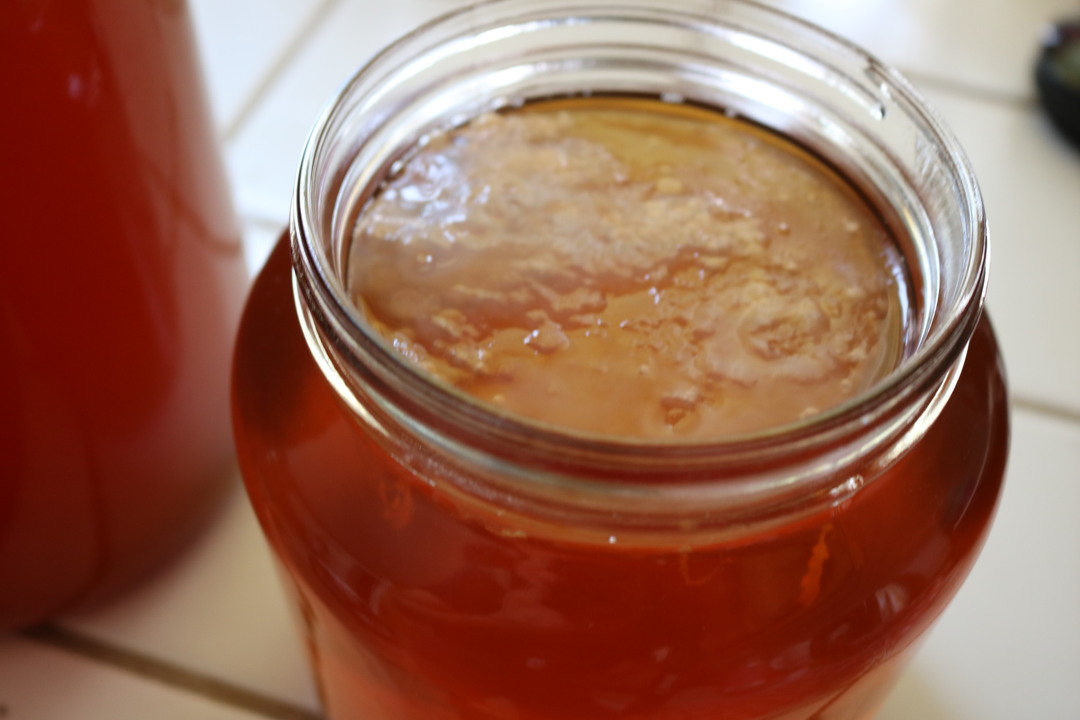 噂の菌ケア炭酸飲料を安く生で無尽蔵に 生コンブチャの作り方 ギズモード ジャパン