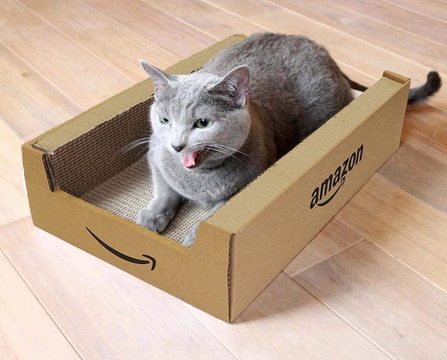にゃんと、Amazon箱の猫用つめみがきが登場だニャ―