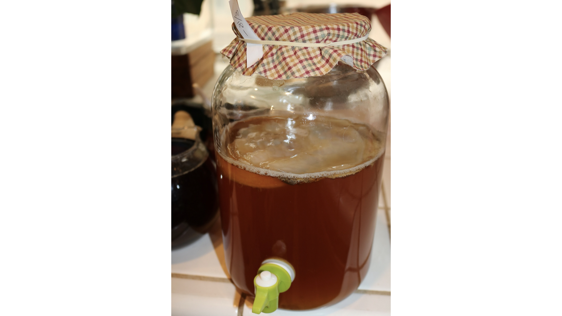 噂の菌ケア炭酸飲料を安く生で無尽蔵に 生コンブチャの作り方 ギズモード ジャパン