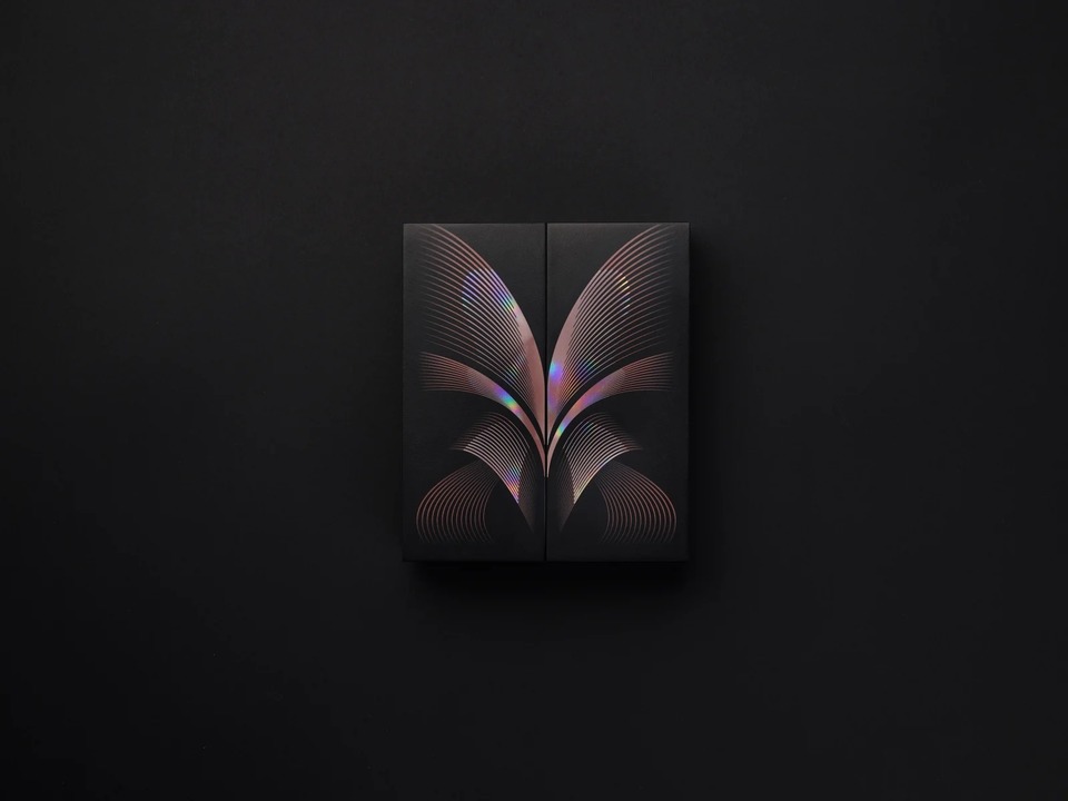 galaxy-fold2-3