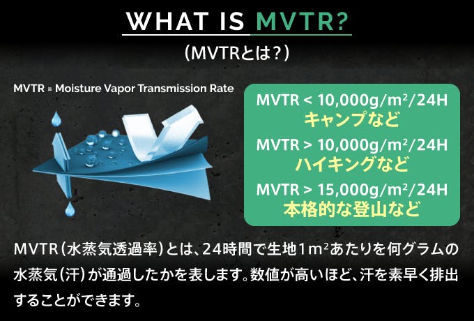 translation_img_MVTR