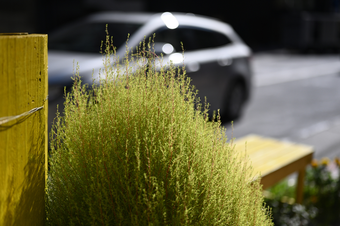 201011z72z62_05