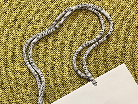 エコロジーみを感じる アップルストアのバッグ 持ち手が紙製だ ギズモード ジャパン