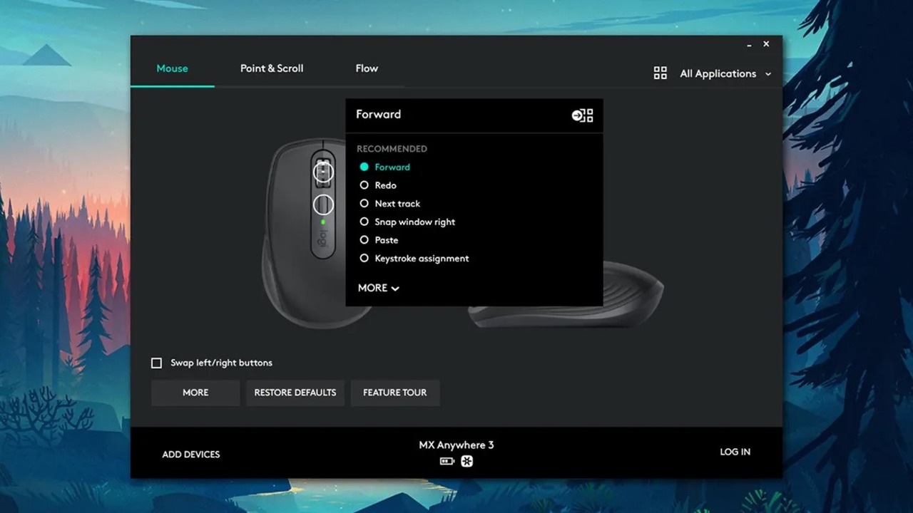 2020-11-17_19Time-SavingTipsforWindows_05_MouseButtons