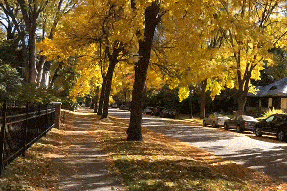 gimbalhyperlapse