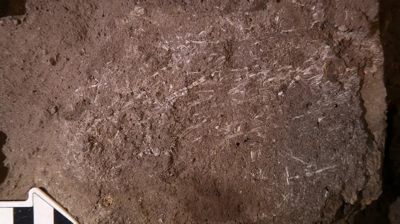 201212Archaeology11