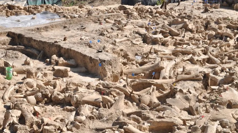 201212Archaeology12