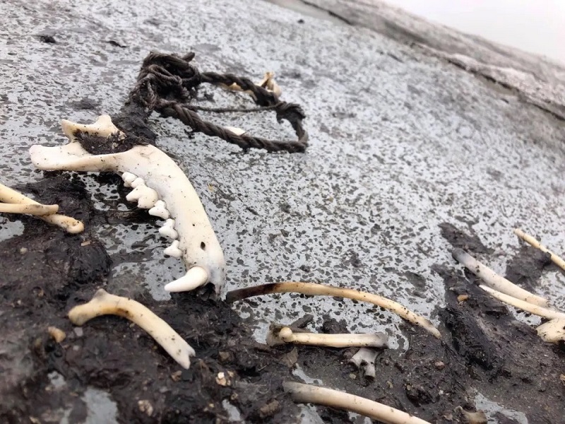 201212Archaeology13