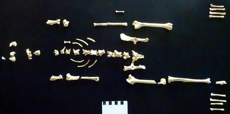 201212Archaeology14