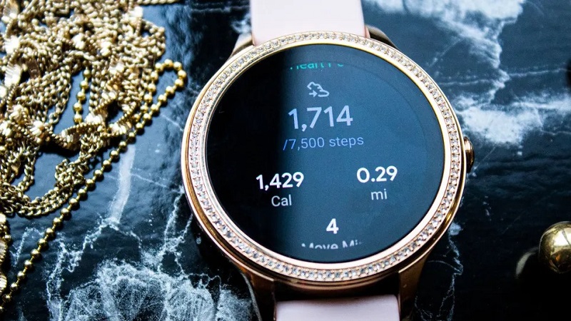 201224fossil4