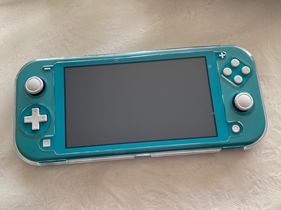 mitsubori_switch_lite