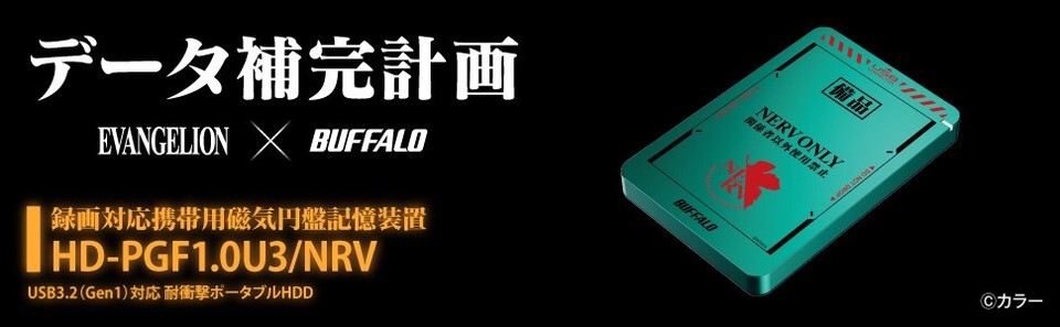 210118_evabuffalo