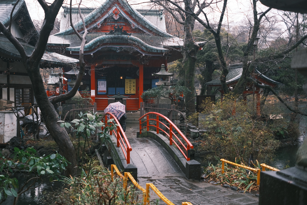 210124fujifilmxe4_sakurei1