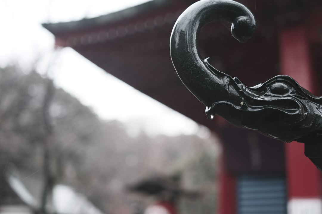 210124fujifilmxe4_sakurei2
